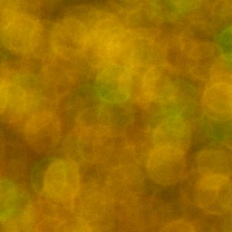 Bokeh-493